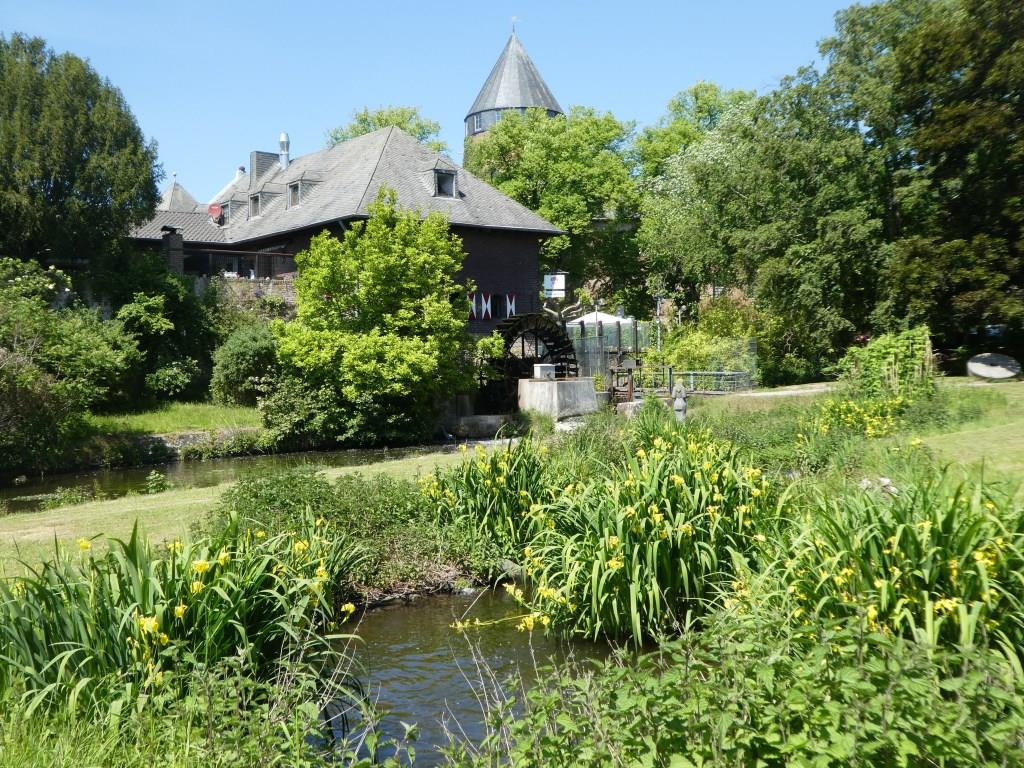 Brüggener Mühle - 2020